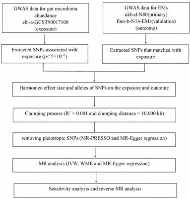 The causality between gut microbiota and endometriosis: a bidirectional Mendelian randomization study